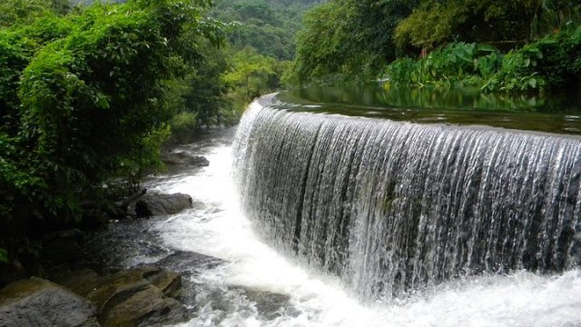 alinajackk's tweet photo. Kerala Travel Guide - Athirapally vs Thekkady
https://t.co/Liz6Gaz12X
#keralatravelguide #athirapally #thekkady #Indiatravel https://t.co/CFRkW9jFoG