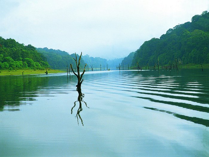 alinajackk's tweet photo. Kerala Travel Guide - Athirapally vs Thekkady
https://t.co/Liz6Gaz12X
#keralatravelguide #athirapally #thekkady #Indiatravel https://t.co/CFRkW9jFoG