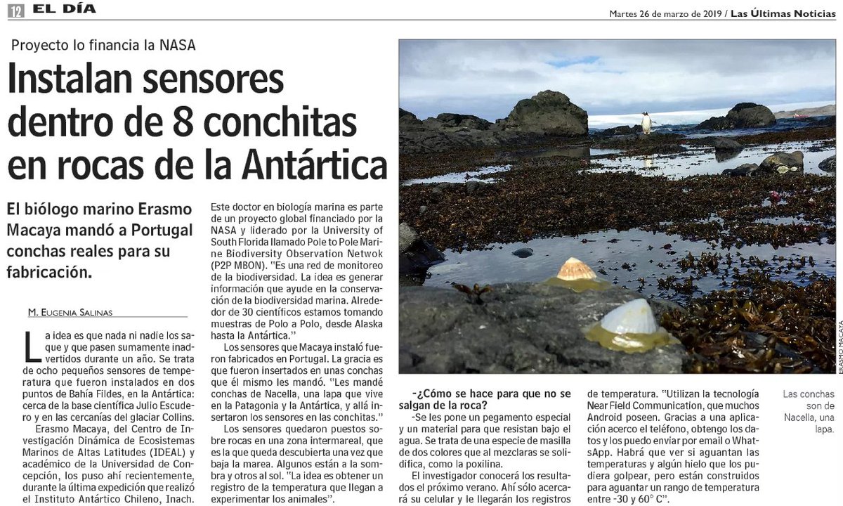 AlgaLab's tweet photo. Sensores de temperatura "biomiméticos" en #Antarctica, investigación en el marco de proyecto Polo a Polo MBON @mbonpoletopole y apoyo del @IDEAL_Centro durante durante #ECA55 de #INACH, reportaje @lun al Dr. Erasmo Macaya @erasmomac de nuestro lab, Link:  https://t.co/ttrqlfHH2s https://t.co/3kvSFPSkOT