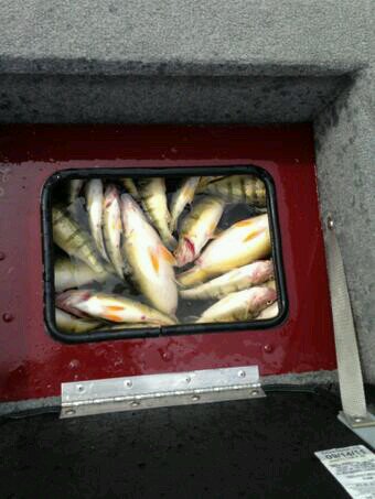 AlienAlien117's tweet photo. @fishinniagara #OnThisDay 2014 the weather was a vastly different kettle of fish. #CrystalBeach #PointAbino #gofishin' https://t.co/UXxKp6VQBA