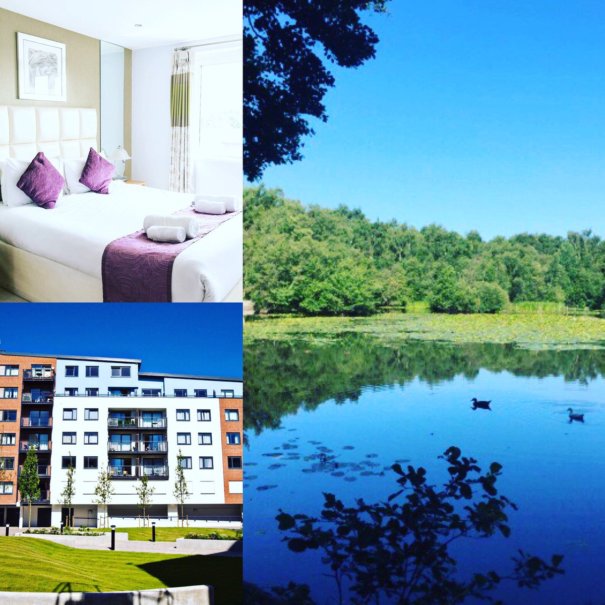FlexiLets's tweet photo. Our apartments in Camberley are surrounded by great local attractions such as Lightwater Country Park, Windsor Castle and Ascot! #flexilets #servicedaccommodation #furnishedapartments #travel #windsor #ascot #camberley https://t.co/5n5RudxR6r