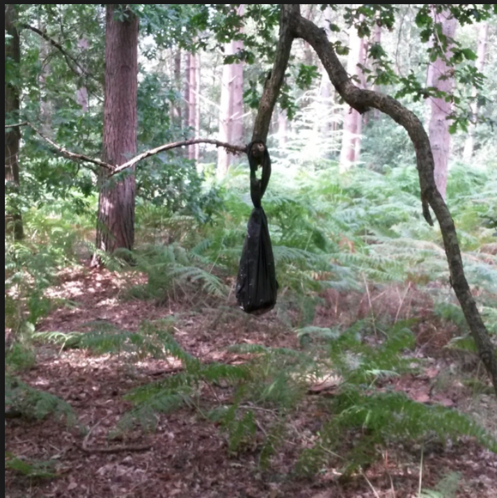 Malcolm Walker tweet media