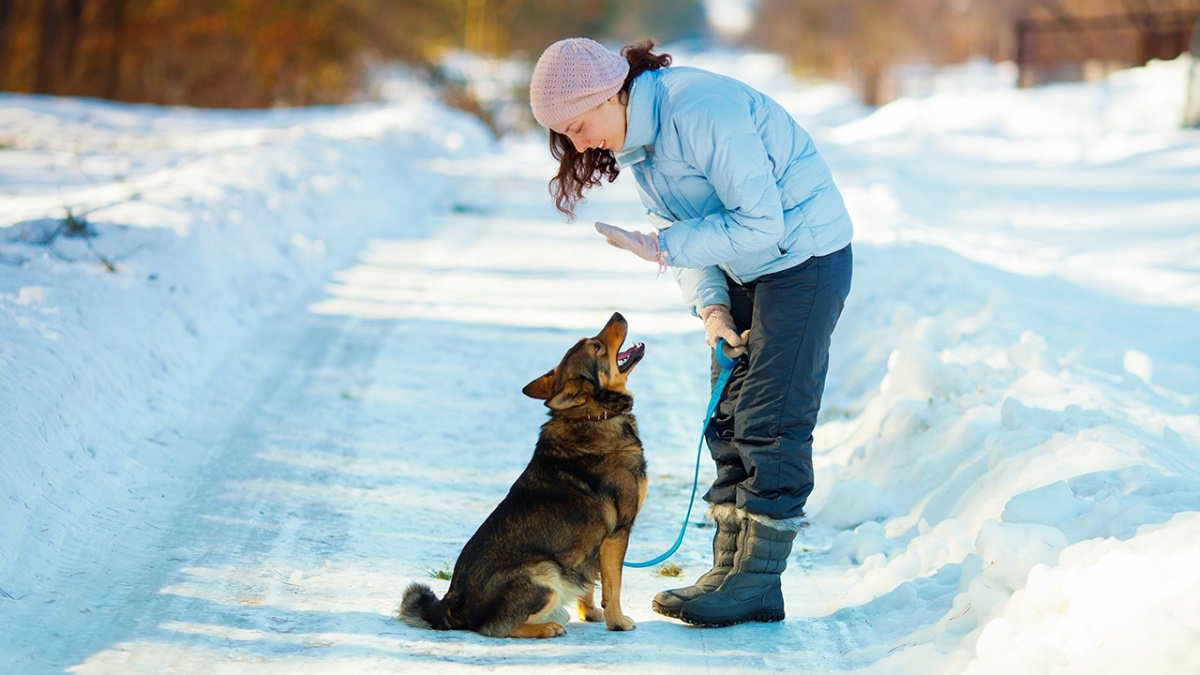 GaiaSafe's tweet photo. Safe Paw was developed in 1996 to satisfy customers for a true environmentally safe product to melt ice that is safe around children and pets. https://t.co/aRdSCvpqDm https://t.co/Hsnw1IqXwU