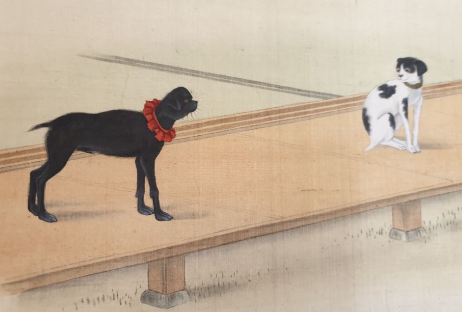 AsianLibraryNL's tweet photo. 獣禽蟲写真(Jū kin chū shashin). Manuscript drawings of insects, birds and four-footed mammals. Author unknown, likely made around 1825. SER 1006, not listed in Kerlen Catalogue @ubleiden #Asianlibrary https://t.co/5oEbTHT5HM