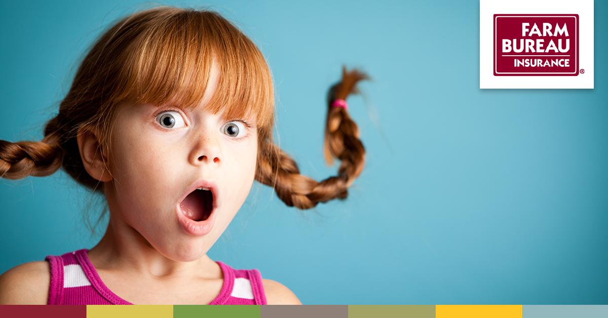 VFB Insurance tweet media