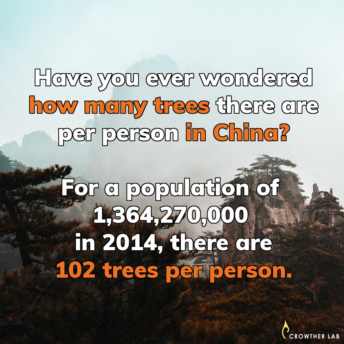 CrowtherLab's tweet photo. There are a total of 139'636'736'000 trees in China. Sound like a lot, what do you think? Let us know, which country you want to learn about next using #howmanytrees. https://t.co/bvVN3sSRMK