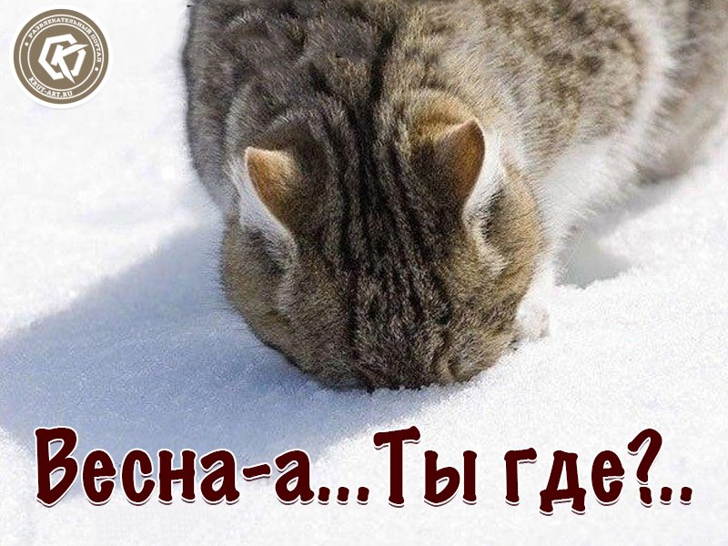 Картинки ты где весна