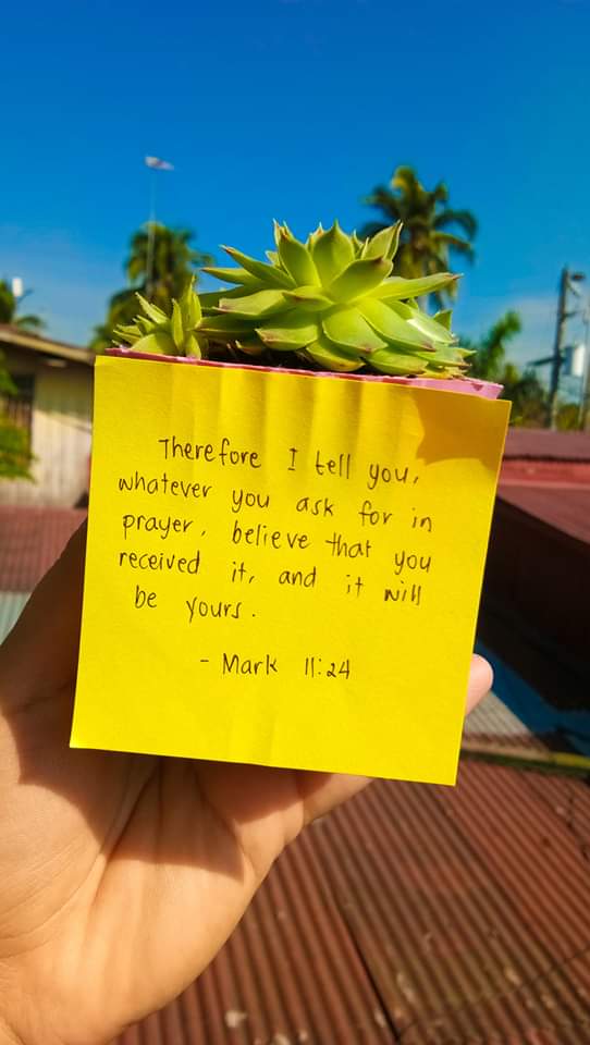 StephEJS's tweet image. 