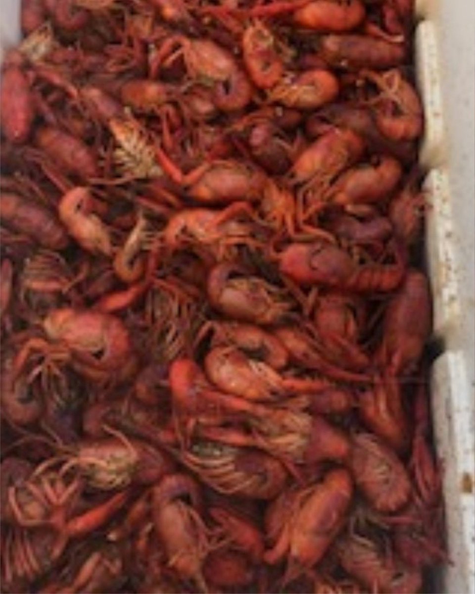 DGISUPPLY's tweet photo. Having the best time at a crawfish boil, last Friday, at our newest location in Broussard, LA. Thank you to everyone who came out, and an even bigger thank you to our vendors; Allied Machine, Sandivk, Master Fluid, CimCool, and OSG! https://t.co/FBxaSzB9rf