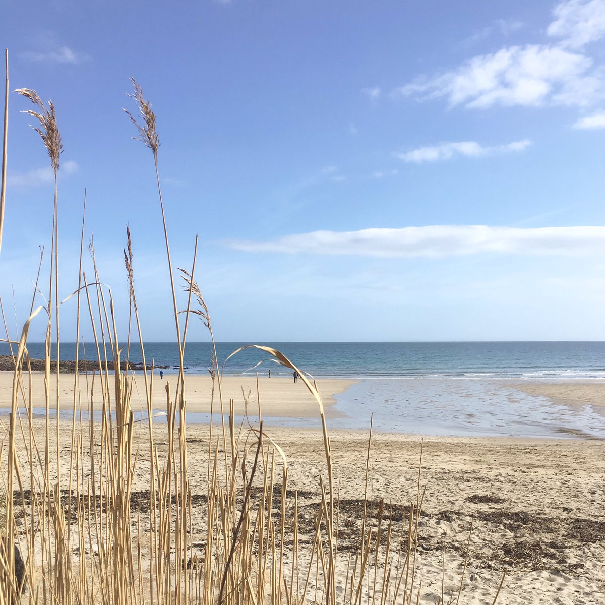 Every year we shut for 6 months to allow the site to restore itself and nature to claw back. Healthy for the dunes it keeps the place feeling wild &amp; pristine. Now spring is here, it feels about time we brush down the tables &amp; let people enjoy it again. We’re open this weekend! 🎉