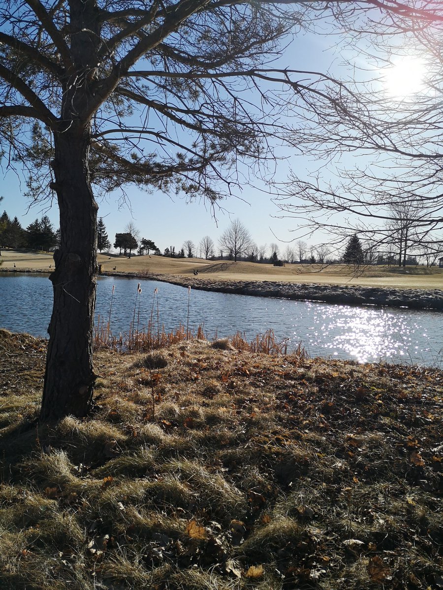 A bit of frost but mower season is just around the corner! #SpringTime  #ontgolf <a href="/westhavengolf/">West Haven Golf</a> <a href="/EquipmentTurf/">Complete Turf Equipment</a>