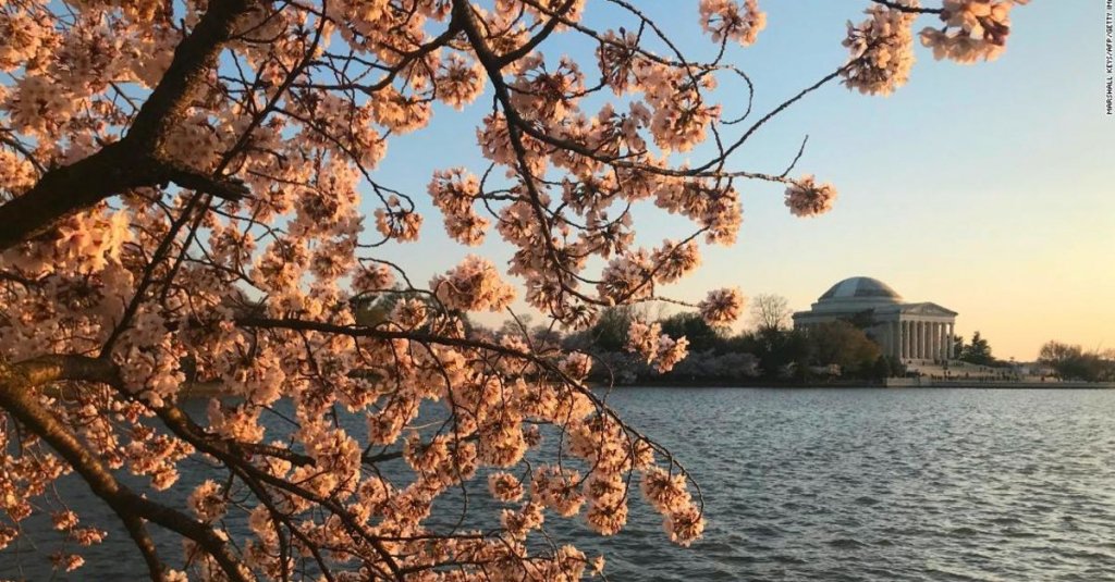 CapeCodderCo's tweet image. 19 best places to travel for the spring of 2019 rss.cnn.com/~r/rss/cnn_tra…