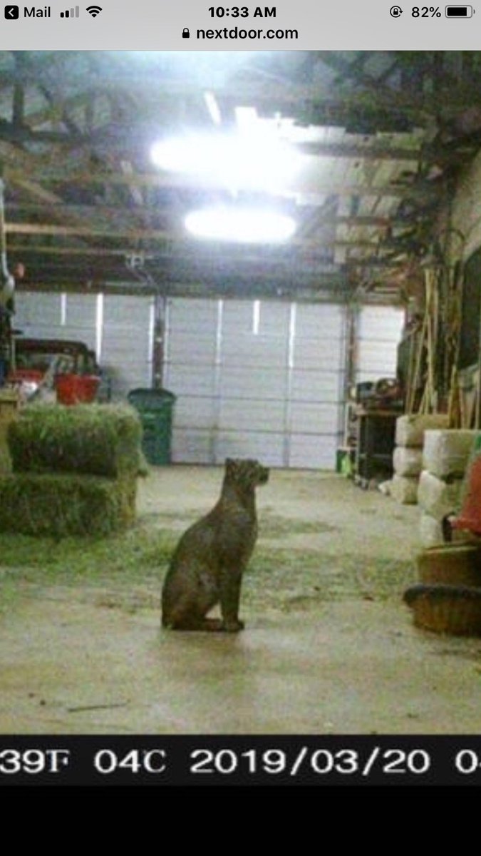 George Dunham tweet media