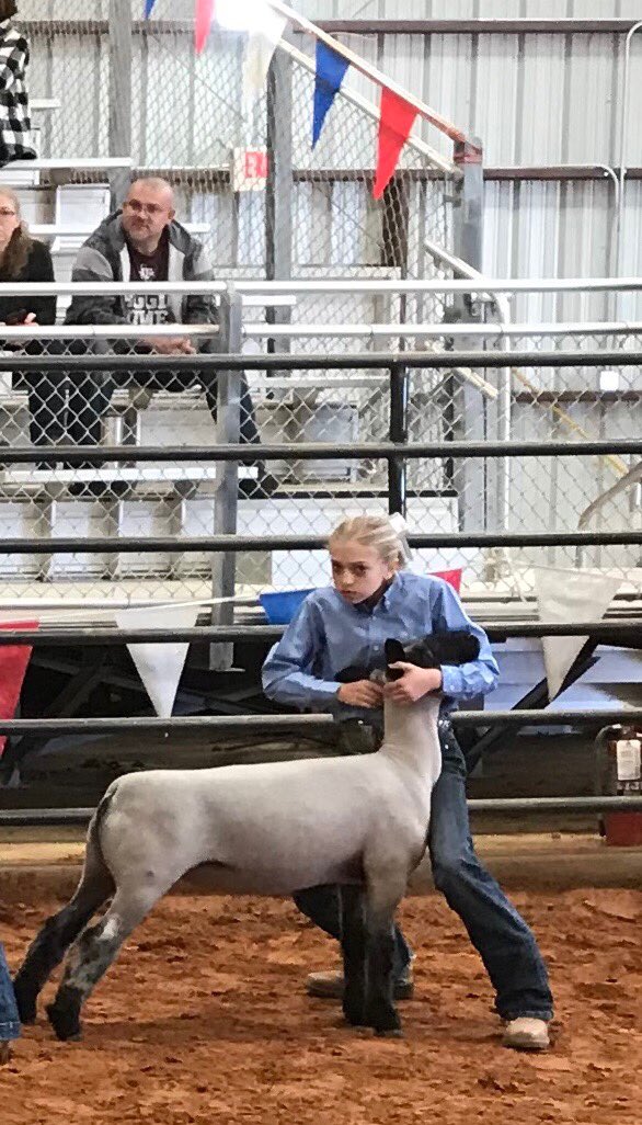 RedOakFFA's tweet photo. It’s show day at the Ellis County Livestock Show &amp; Rodeo! Good Luck 🍀 to all of our Red Oak FFA members exhibiting their sheep and goat projects today. You got this! 😎 https://t.co/MQggMi2NVy