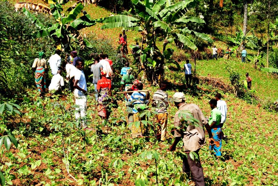 akezanet's tweet photo. Ce 22 mars, Emmanuel Niyoyabikoze à travers son projet Greening Burundi, a planté près de 10.000 arbres. L’activité “tree planting” a vu la participation de plus de 300 jeunes.
#akezanet #lesbeautesdecheznous #treeplantingevent https://t.co/0eb6Pxlhrb
