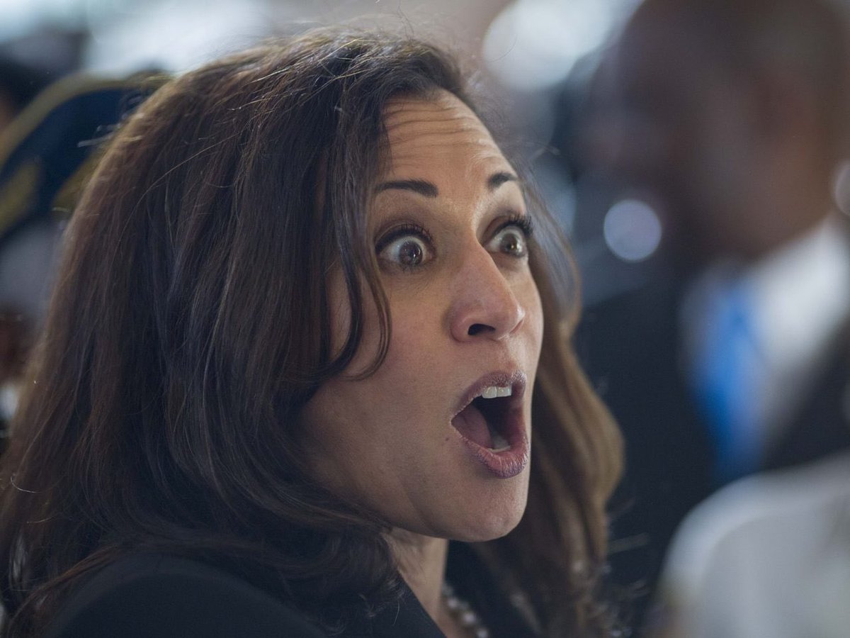 Kamala Harris supports government-mandated buybacks of AR-15s and other semiautomatic rifles