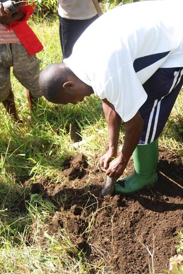 akezanet's tweet photo. L’activité « tree planting » s'inscrit dans le projet Greening Burundi de se battre pour un Burundi vert. L’activité s’est déroulée dans la commune Musigati à Ruziba ainsi qu’au Lycée Bukinga
#akezanet #lesbeautesdecheznous #treeplantingevent https://t.co/v5ghlPpEf3