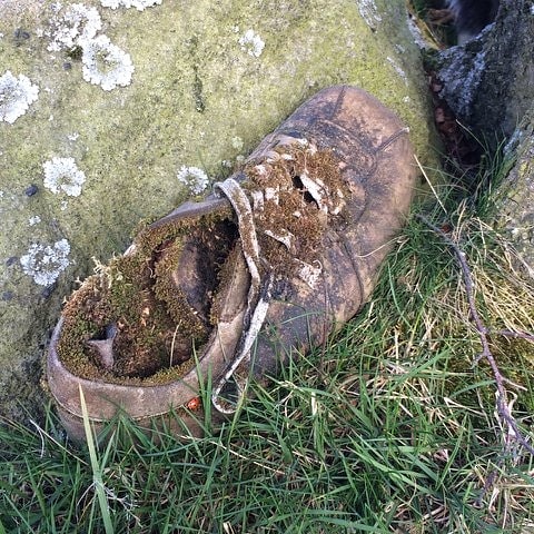 sarahcook_art's tweet image. What&apos;s afoot in the woods this weekend? Maybe not as ancient as the Bronze Age people who settled in this area, but I wonder what the story of this old shoe is and who sat under this tree up on Lawrence Field. Come &amp;amp; make your stories this weekend #themeaningoftrees #PeakDistrict