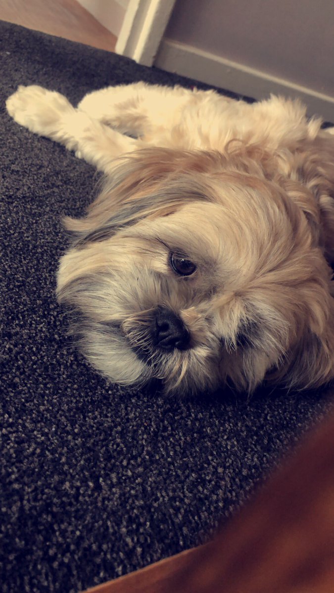 Lazy day today ❤️😴