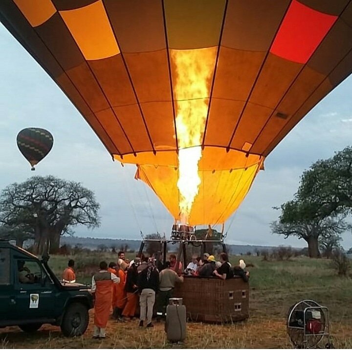#hotairballoonsafariserengeti#adventuresaloft#serengeti#tarangire#migration#greatmigrationinserengeti#lion#simba#marariver#masaimara#hotairballoon#champagneonthesky#tarangireballooncamp