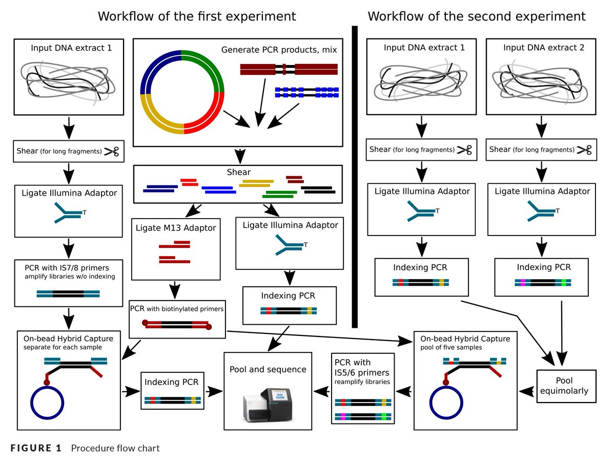 Alex Knyshov tweet media