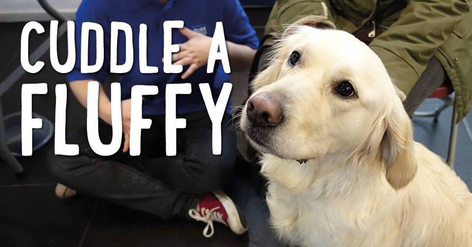 Deadlines getting you down? Hangovers got you feeling ruff?

Forget all the stress of uni and head on over to the SU reception this Friday 10-2 to cuddle some of the bestest pups around! Bring spare change and all the cuddles you can spare, we’ll see you there 💚 <a href="/UOL_GuideDogs/">UOLGuideDogs</a>