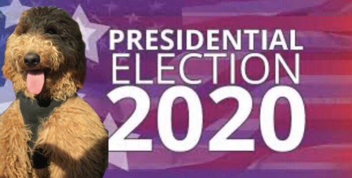 NickT0rres's tweet photo. Spread the word. #VoteWinston https://t.co/fXHriygkRq