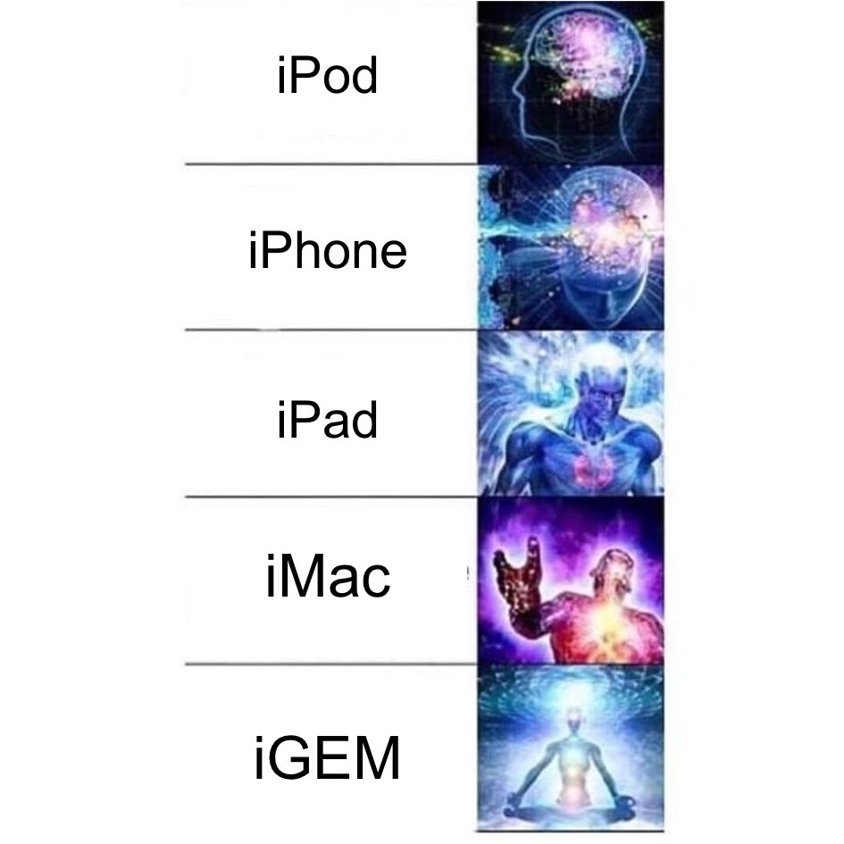 the century of synthetic biology