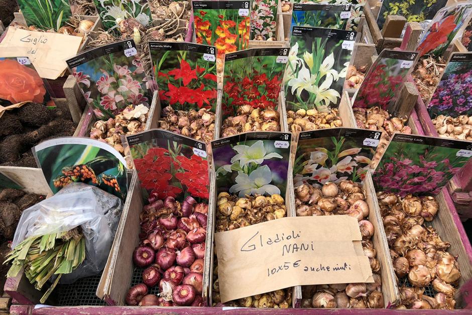 Was jetzt im Garten zu tun ist? Unser neuer Gartenkalender verrät's:
schoener-wohnen.de/einrichten/gar…
#gardening #garten #gartenarbeit #gartenkalender