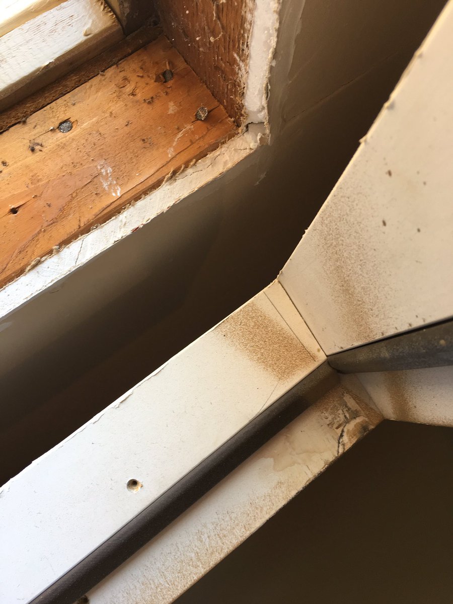 Luthier Work tweet media