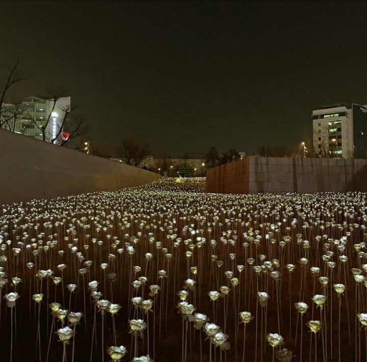 rosse58729496's tweet photo. "Glow in the dark"
Rose🌷 https://t.co/vYfo7N3zBu