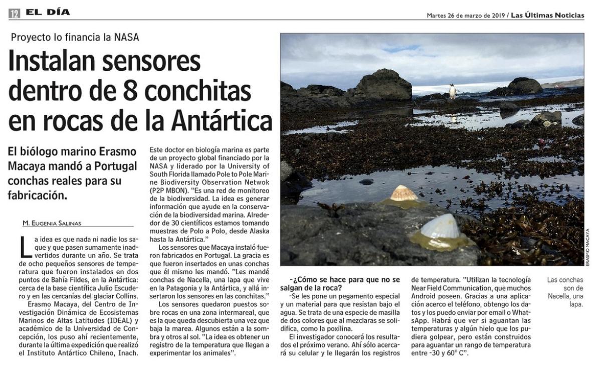 inach_gob's tweet photo. Instalan sensores dentro de 8 conchitas en rocas de la Antártica.
Investigación de @erasmomac del @IDEAL_Centro, hoy en @lun 
#Antártica #ECA55 #BahíaFildes 

https://t.co/EOueFHW1jf https://t.co/2Md2LL3Cfp