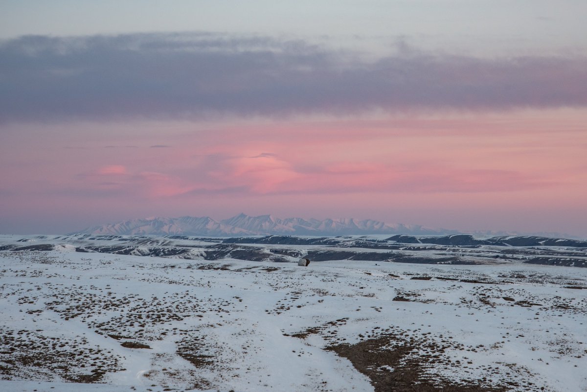 Tippet Rise tweet media