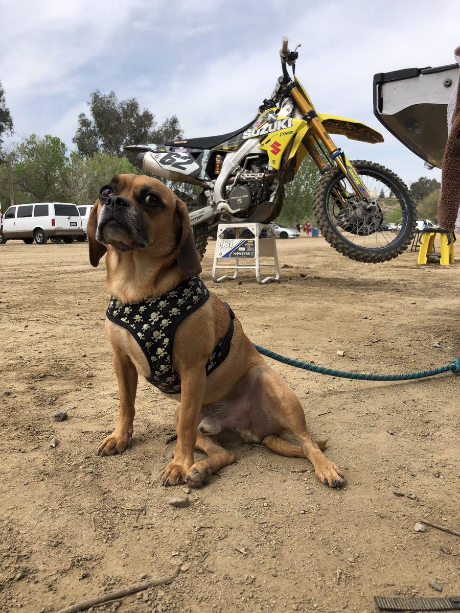 alexray83_'s tweet image. 