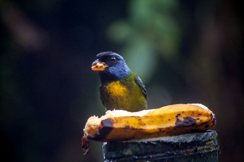 LANDED Travel tweet media