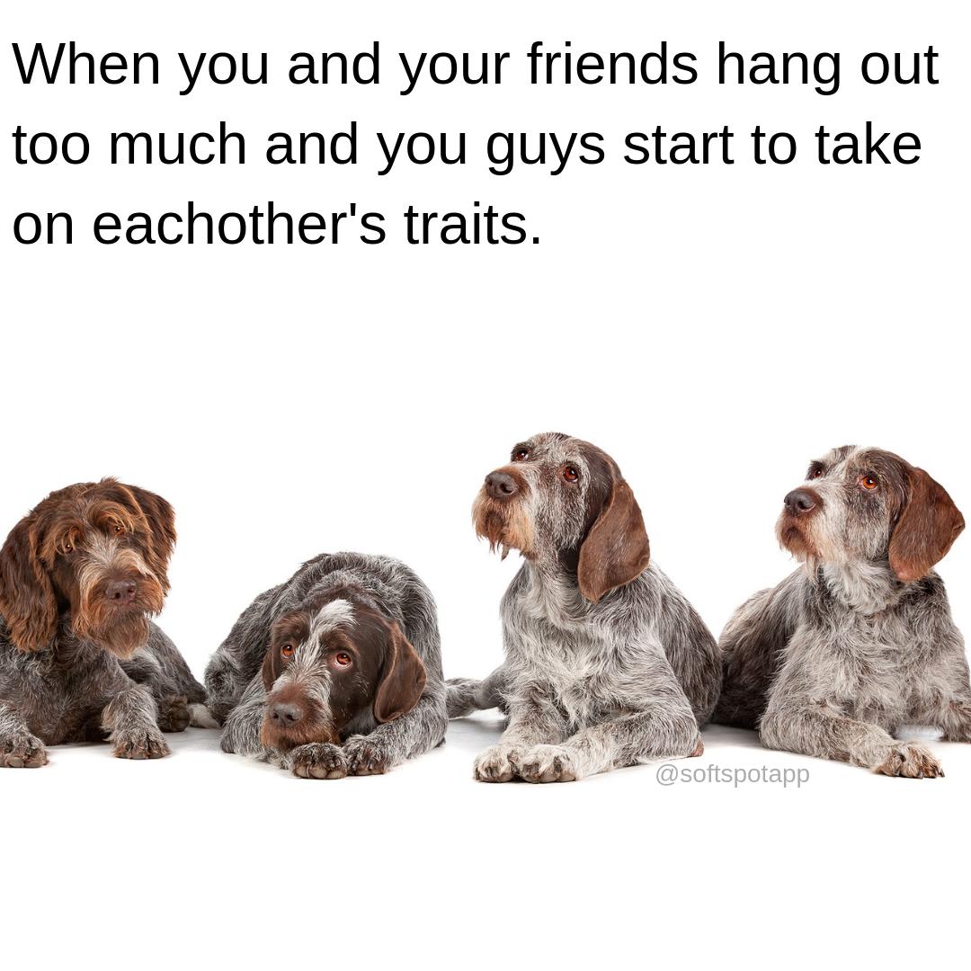 It's true what they say, you are the average of the five people you spend the most time with.