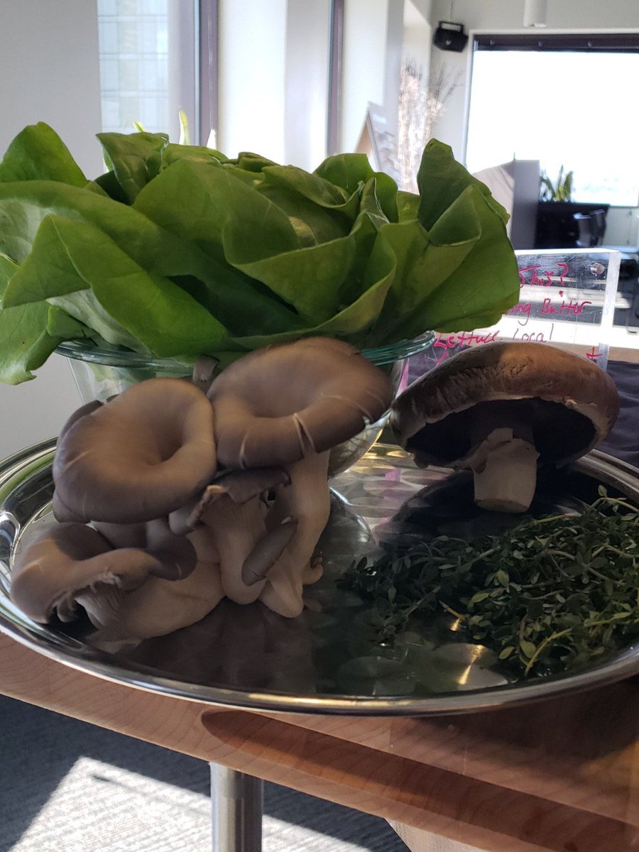 TweetlessinSEA's tweet photo. Grey Dove Oyster Mushrooms, Sumner Valley Living butter lettuce, with Fresh Lemon Thyme. I love this time of year. https://t.co/qLPE63BJn1