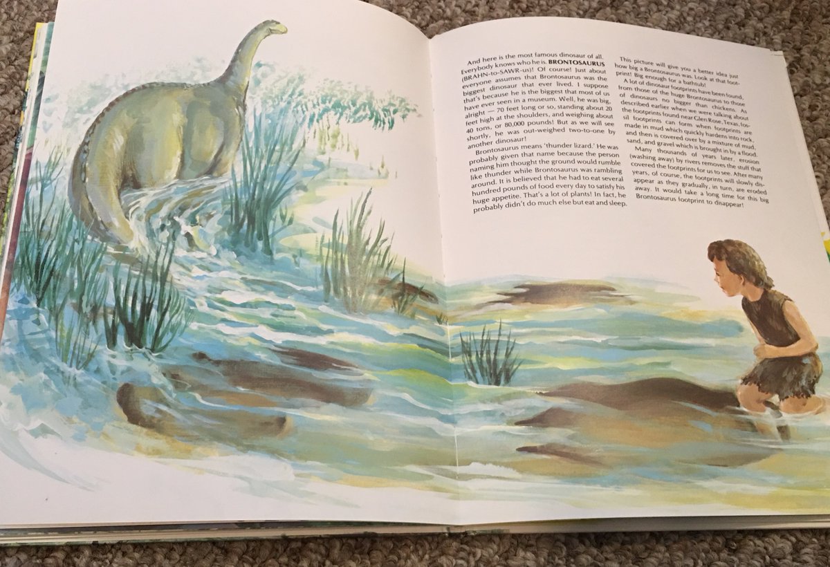 65. Gish's discussion of Brontosaurus is blithely illustrated with a child playing near one, but hey, remember, that Glen Rose, Texas thing with the footprints is unconfirmed. But also this totally happened. Also right after creation everyone was white, like Gish's audiences.