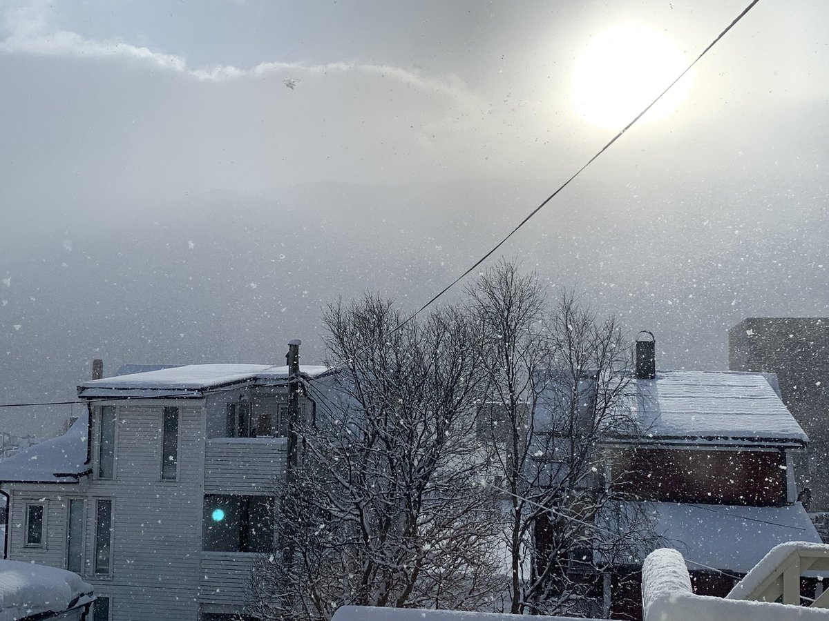 marsilki's tweet photo. Spring in Tromsø #northernnorway #wintersun #tromsø https://t.co/rqH8B6HZ6u