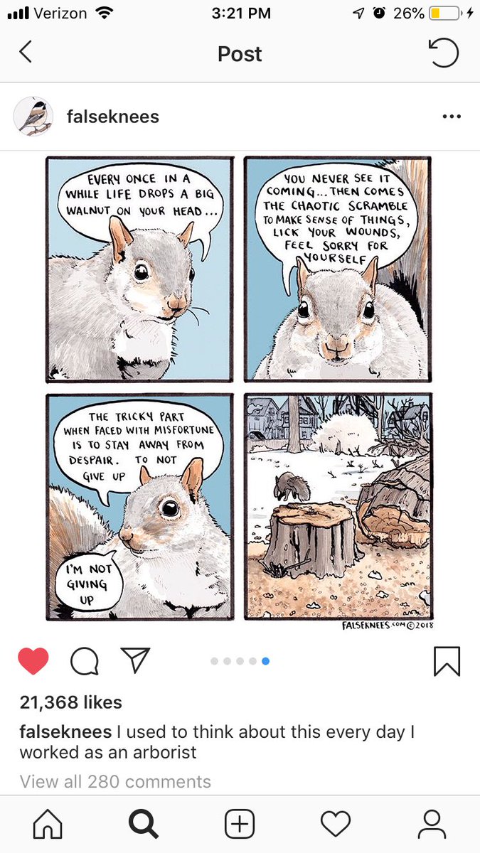 Adorkablegirl99's tweet photo. @squirrels_CMU @FalseKnees https://t.co/kwQr63HkmF