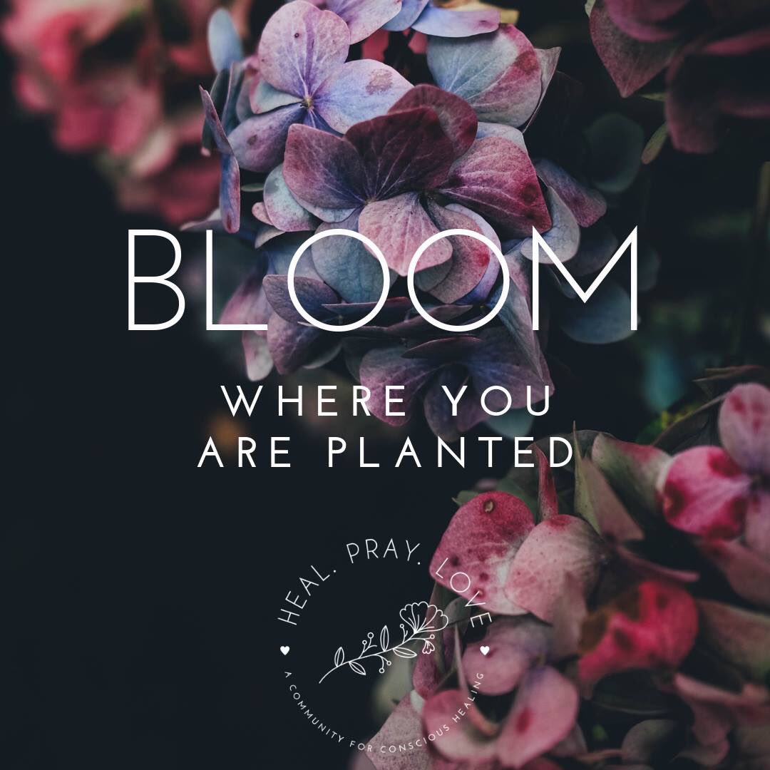 So... We did a thing! 🤩 hplcommunity.com is LIVE 🌱🖤