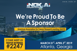 iNDXAi's tweet photo. Atlanta Calling? We will be present at the @AACR 2019 meeting in Atlanta.#immunooncology #translationalresearch #iCore #clinicaltrials #pharmacogenomics #pharmacokinetics #cancerimmunotherapy #AACR19 https://t.co/K1DUdeH9tJ