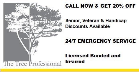 torontotreesgta's tweet image. RT  RT  RT  RT  RT  RT  #TreeTrimming #TreeRemova…