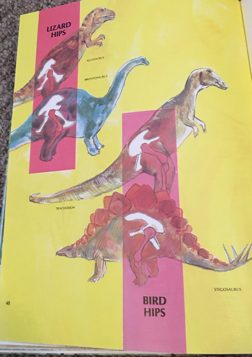 68. Soon after this excursion into "flood geology"--something I was also taught in science classes in Christian school--Gish moves to arguments he thinks debunk evolution. Spoiler alert: they don't. First up, Lizard Hips, Bird Hips. I love the trippy 1977 illustration. You?