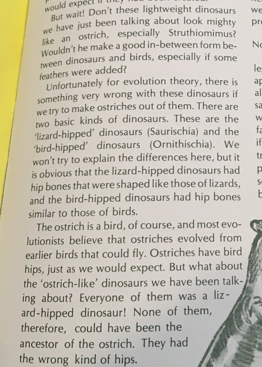 68. Soon after this excursion into "flood geology"--something I was also taught in science classes in Christian school--Gish moves to arguments he thinks debunk evolution. Spoiler alert: they don't. First up, Lizard Hips, Bird Hips. I love the trippy 1977 illustration. You?