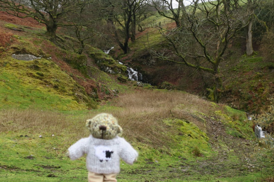 Could I have a cocoa please Archie? #FurryTails #FromAmbrose