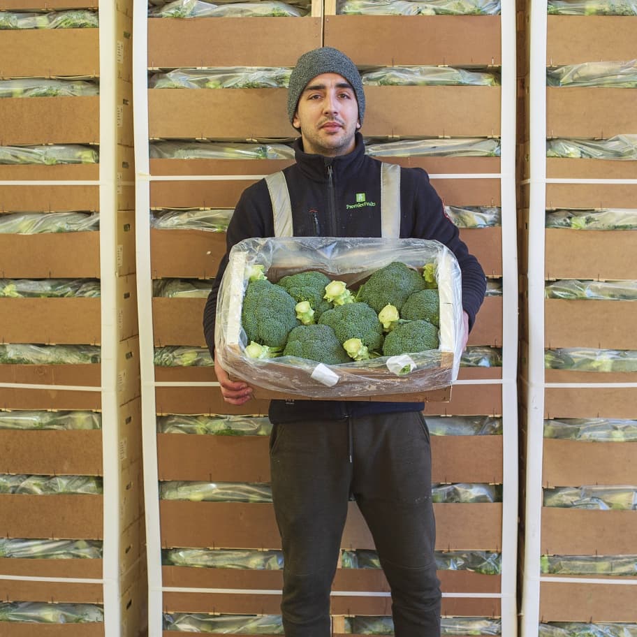 PFoodsWholesale's tweet photo. Veggie Tuesdays!!
Nutritional powerhouse BROCCOLI, fresh PEAS, CHANTENAY CARROTS and January KING CABBAGE available at Premier Fruits. For enquiry sales@premierfruits.com
. 
#asfreshasitgets #foodservice #qualityproducts #freshproduce
@MarketFood @ChantenayCarrot https://t.co/JIHu9uFjTu