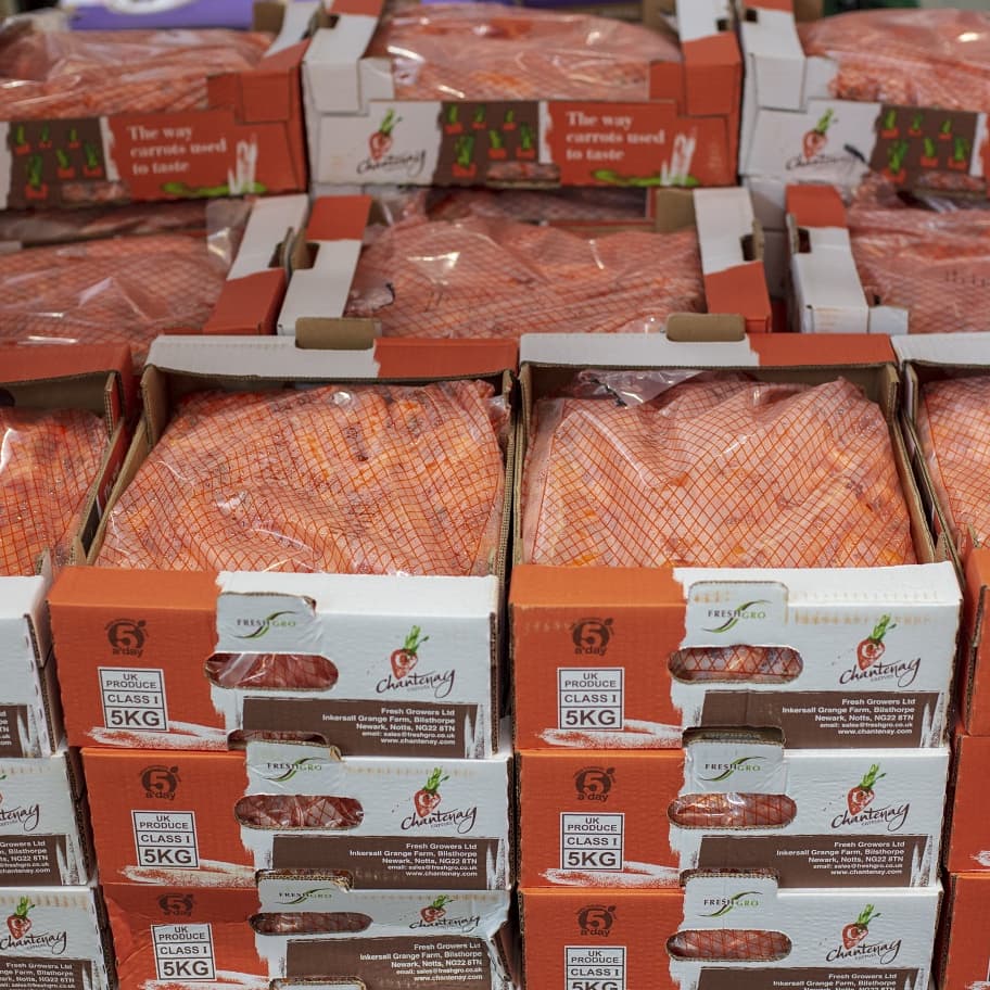 PFoodsWholesale's tweet photo. Veggie Tuesdays!!
Nutritional powerhouse BROCCOLI, fresh PEAS, CHANTENAY CARROTS and January KING CABBAGE available at Premier Fruits. For enquiry sales@premierfruits.com
. 
#asfreshasitgets #foodservice #qualityproducts #freshproduce
@MarketFood @ChantenayCarrot https://t.co/JIHu9uFjTu