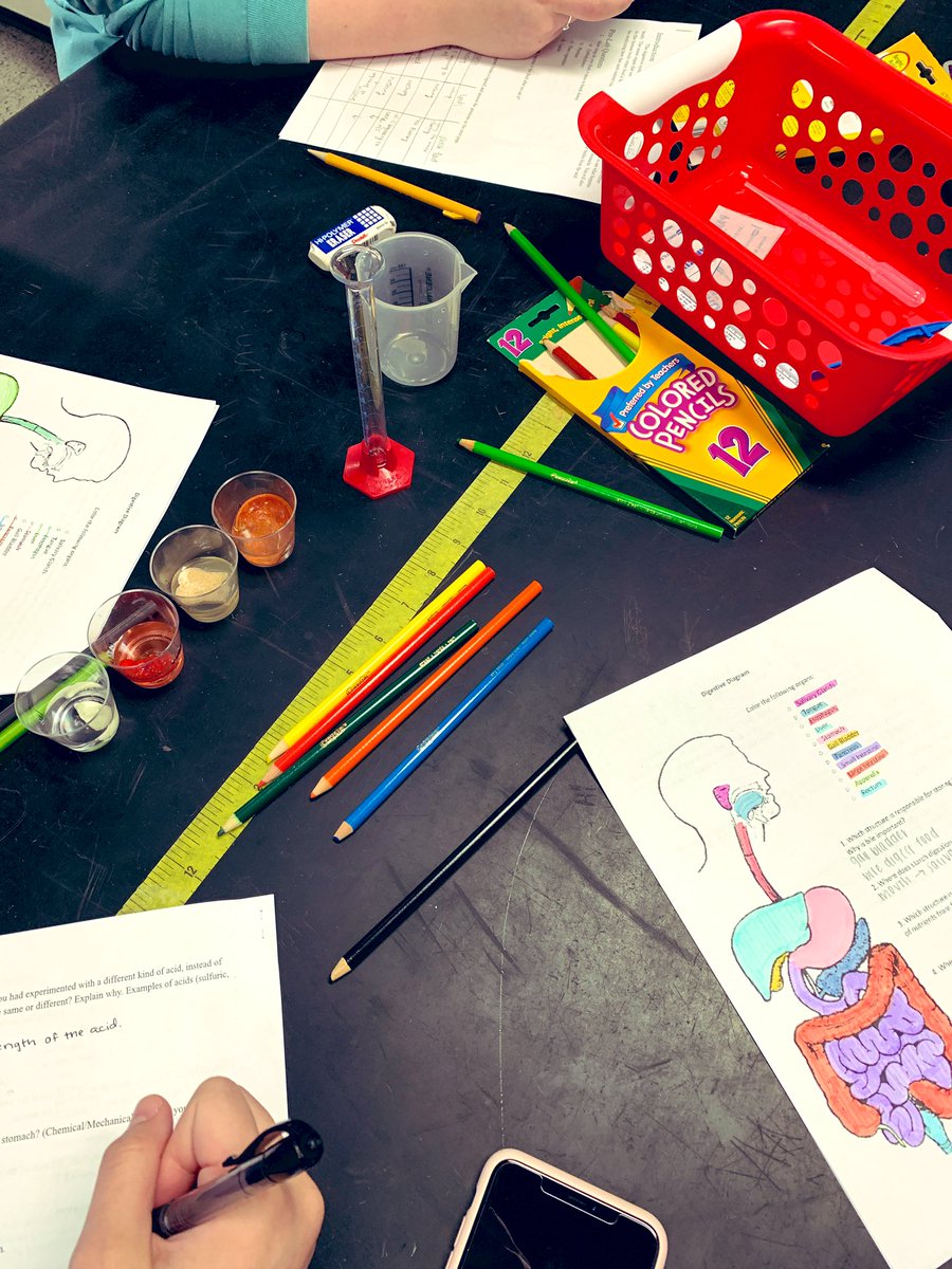 MrsMarcil's tweet image. ‘Digesting’ different types of food in #biotech today. #humansystems #anatomy #digestivesystem @HCCDistrict @sbisd_science @cte_sbisd