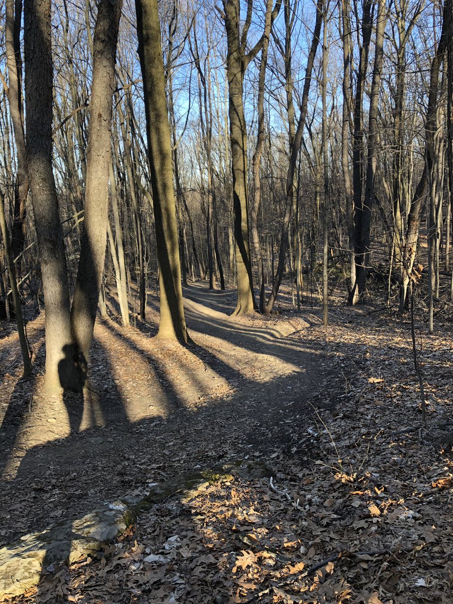 TMSMcCourtie's tweet photo. Every @XCTallmadge runner should know these views! Trails were empty, crisp and just as challenging as I remember them. #hillloop #oncearunneralwaysarunner https://t.co/y4qSUrtT3B